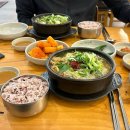 대교빌딩 | 여의도 마포대교 위를 달릴 수 있는 2026 쉬엄쉬엄 모닝런 정보 3/22 후기