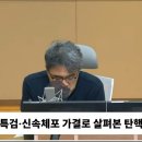 상설특검ㆍ신속체포 가결로 살펴본 탄핵 표결 전망(김종배의 시선집중) 이미지