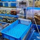 문재수산 | 노량진수산시장 맛집 '손선장', 노량진 가성비횟집으로 추천합니다!