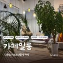 읍사무소입구 ~ 백석초등학교 앞 | 강화도 아기랑 갈만한 곳 키즈프렌들리 카페 일룸, 수영장 카페 (옥상 물놀이, 모래놀이터)