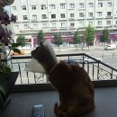 백산메디칼 이미지