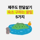 팜스플랜동물병원(출장전문) | 제주 한달살기 숙소 구하는 5가지 꿀팁