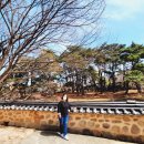 군위 아미타여래삼존 석굴 이미지
