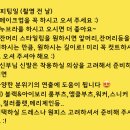 눈 펑펑 오던 날 제주스냅 두시의동화 x 스타일리스트제희x 블루밍앨리스 (3) 스타일리스트 제희 후기