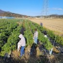 해남보호관찰소 이미지