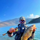 스테이한돌 이미지