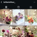 브리얀떼플레르