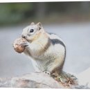 사촌1천 | 결혼답례품 만족스러웠던 시논감성 후기