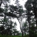 운주산승마자연휴양림 이미지