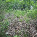 대동삼거리 이미지