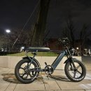 심심해서 적어보는 전기자전거 레트로 바이크 SMDbike 3개월 후기
