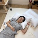 베개 유목민의 인생 베개 패브릭온도 베개 내돈내산 후기