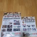 버섯키우기 아이와 홈스쿨링 필수템 드림버섯농장 친환경 무농약 버섯키우기키트 생생 재배 후기