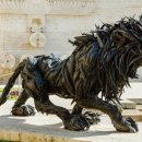 타이어사자 이미지