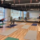 아쉬탕가 빈야사 요가 A 이미지