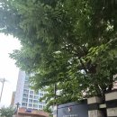 모두홈101