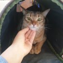 삼흥로 이미지