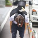 이무진 카카오 검색결과