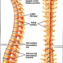 고은경희한의원 이미지