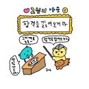 뉴럭키무도학원 | 안산 대부도 뉴현대운전면허 학원 후기 ✨ / 3일 합격/ 꿀팁정리 / 자료 나눔