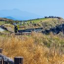 상모리-21 이미지