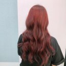 엔비헤어 envy hair | 군산미용실.염색잘하는곳 '더엔비헤어 (THE ENVY HAIR)' 염색찐맛집 고민없이 by 수쌤 (레드염색)