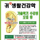 귀 건강학(이혈테라피) 이미지