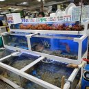 소희수산 이미지