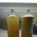 오레시피청주성화점 이미지