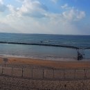 제주테우문화 이미지