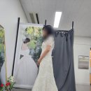 벨리타영