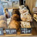 관저당 이미지