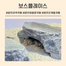 아이와 함께하는 이색체험 원주 파충류 카페 보스플레이스