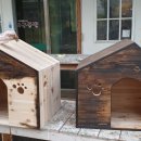 댕댕이 하우스 이미지