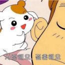 셀레브헤어