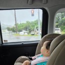 (주)글로벌금오렌터카 | 일본 렌터카 예약 준비물 사이트 추천 운전 꿀팁 카시트 후기