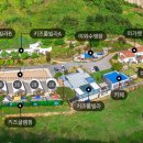 뚜뚜키즈풀빌라앤글램핑 네이버블로그
