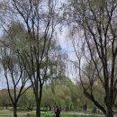 궁남지 전기자전거 대여소 이미지