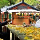 곡성-043 이미지