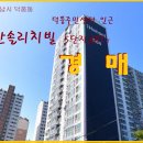 리치빌 Daum카페