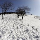 백석농장 이미지