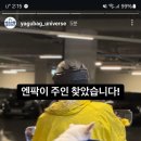 8월의 강아지 이미지