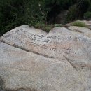 개미행정사 이미지