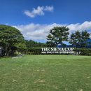 더시에나CC 이미지