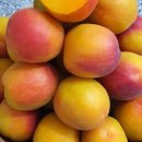 환희마트 이미지