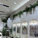 드마레컨벤션 | [웨딩일지]1.평택 웨딩홀 계약후기(드마레,국제웨딩컨벤션,엔팰리스 내돈내산 비교)