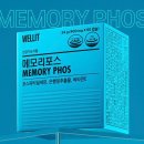 메모리 | 두뇌 영양제 추천, 웰릿 메모리포스 내돈내산 후기