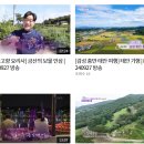 덕산면031 이미지