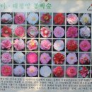 동백정원