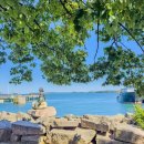 포유(for you) 이미지